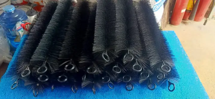 hệ thống lọc hồ cá koi