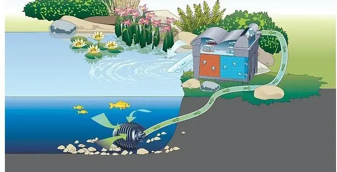 hệ thống lọc hồ cá koi