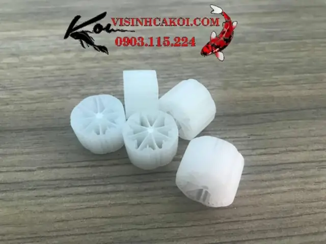 hệ thống lọc hồ cá koi