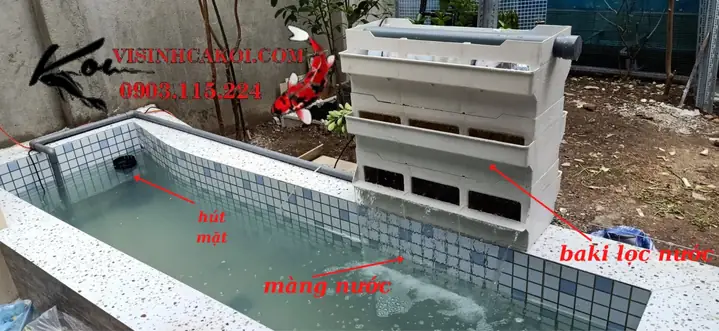 hệ thống lọc hồ cá koi