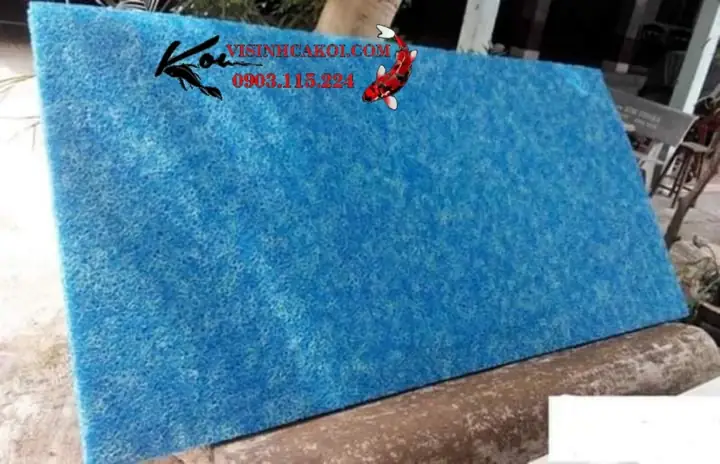 hệ thống lọc hồ cá koi