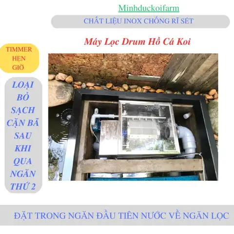 hệ thống lọc hồ cá koi