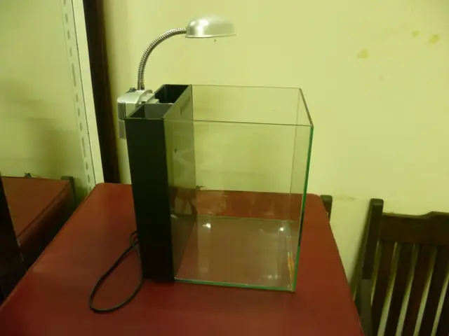 Hướng Dẫn Toàn Diện Về Hệ Thống Lọc Nước Bể Cá: Nguyên Lý, Phân Loại & Lắp Đặt