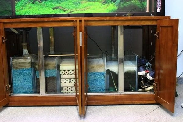 hệ thống lọc nước bể cá cảnh giúp duy trì nguồn nước sạch