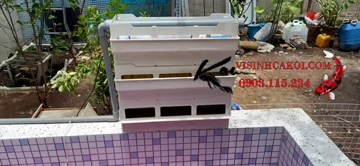 Hệ Thống Lọc Baki Hồ Cá Koi