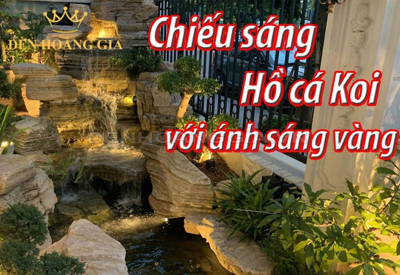 Hiệu ứng ánh sáng vàng trang trí bể cá cảnh