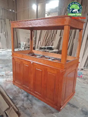 Hình ảnh bể cá rồng đẹp được ưa chuộng nhất năm 2023
