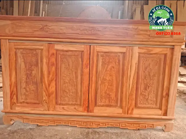 Hình ảnh bể cá rồng đẹp được ưa chuộng nhất năm 2023