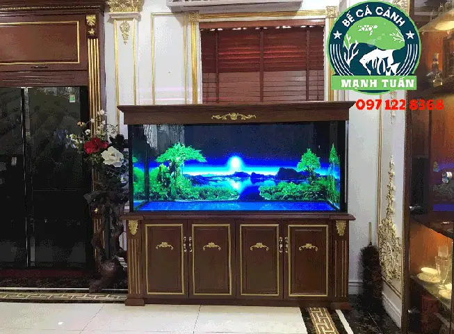 Hình ảnh bể cá rồng đẹp được ưa chuộng nhất năm 2023