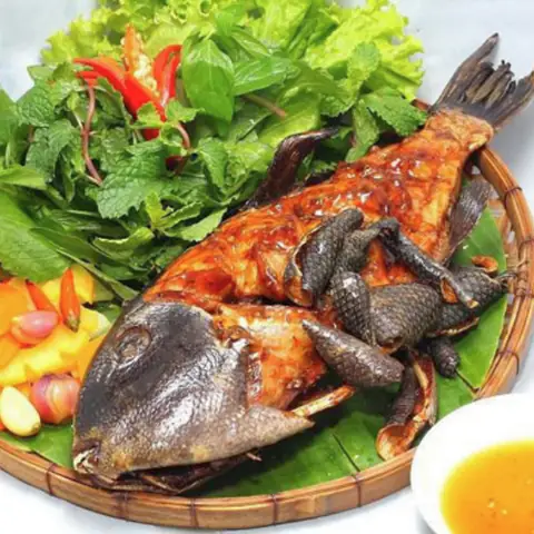 Hình Ảnh Cá Bò Giáp: Đặc Điểm Nhận Biết và Giá Trị Ẩm Thực Chuyên Sâu