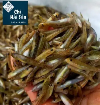 Tìm Hiểu Các Loại Cá Bống: Hình Ảnh, Đặc Điểm & Giá Trị Thực Phẩm