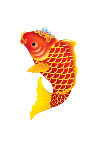 Những hình ảnh tuyệt đẹp về cá chép - biểu tượng của sự may mắn và thịnh vượng.