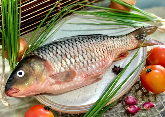 Những hình ảnh tuyệt đẹp về cá chép - biểu tượng của sự may mắn và thịnh vượng.