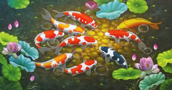 Những hình ảnh tuyệt đẹp về cá chép - biểu tượng của sự may mắn và thịnh vượng.
