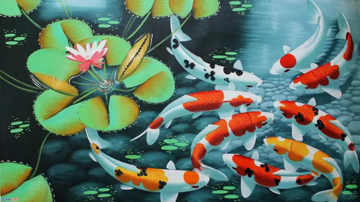 Những hình ảnh tuyệt đẹp về cá chép - biểu tượng của sự may mắn và thịnh vượng.