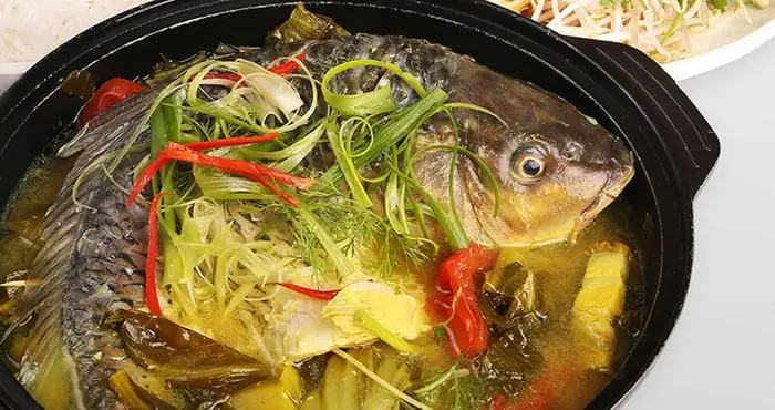 Những hình ảnh tuyệt đẹp về cá chép - biểu tượng của sự may mắn và thịnh vượng.