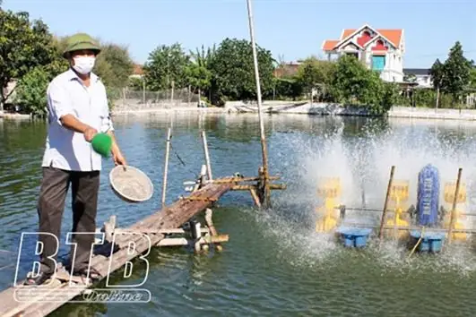 Hình ảnh cá chuối hoa: Đặc điểm và vẻ đẹp của loài cá này