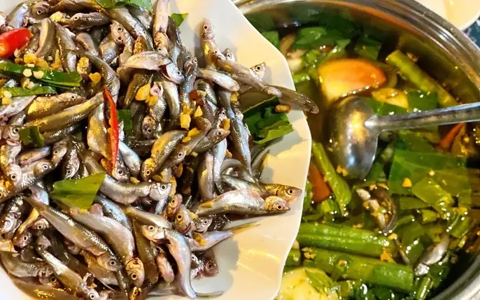 Khám phá chi tiết hình ảnh cá kèo và đặc điểm nhận dạng