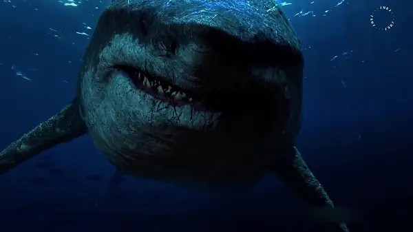 Hình ảnh cá mập megalodon