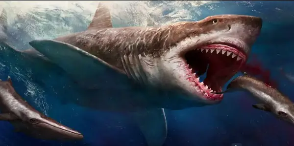 Hình ảnh cá mập megalodon
