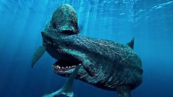 Hình ảnh cá mập megalodon