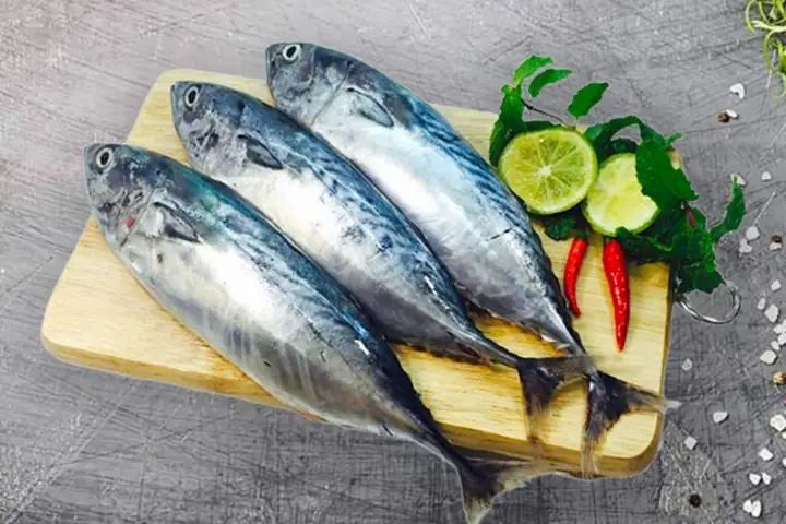 Giới thiệu về cá Ngừ Bông