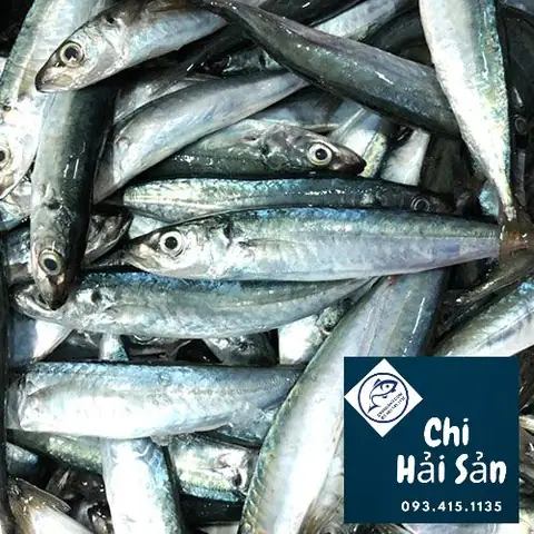 Hình ảnh cá nục tươi: Nhận biết và chọn mua đúng chuẩn