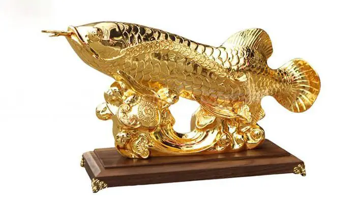 Hình Ảnh Cá Rồng: Khám Phá Nét Đẹp Độc Đáo Của Từng Loài