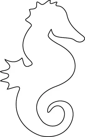 Khám phá thế giới quyến rũ qua **hình ảnh con cá ngựa**