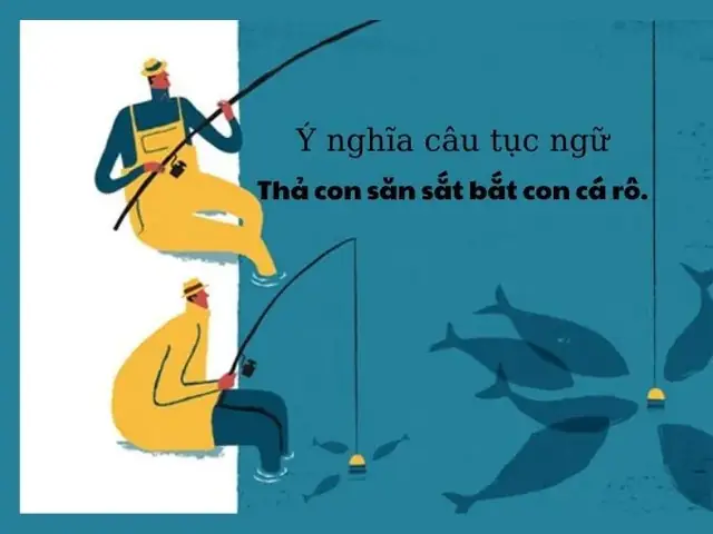 Cá Sộp: Đặc Điểm Nhận Dạng & Bộ Sưu Tập Hình Ảnh Chi Tiết