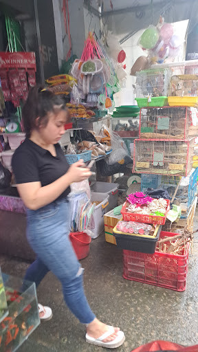 Hình ảnh cửa hàng Cá Cảnh Lan Huệ tại Quận 8