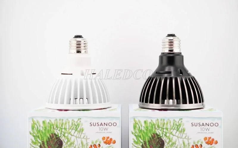 Hình ảnh đèn huỳnh quang truyền thống, một loại đèn hồ cá cảnh cũ