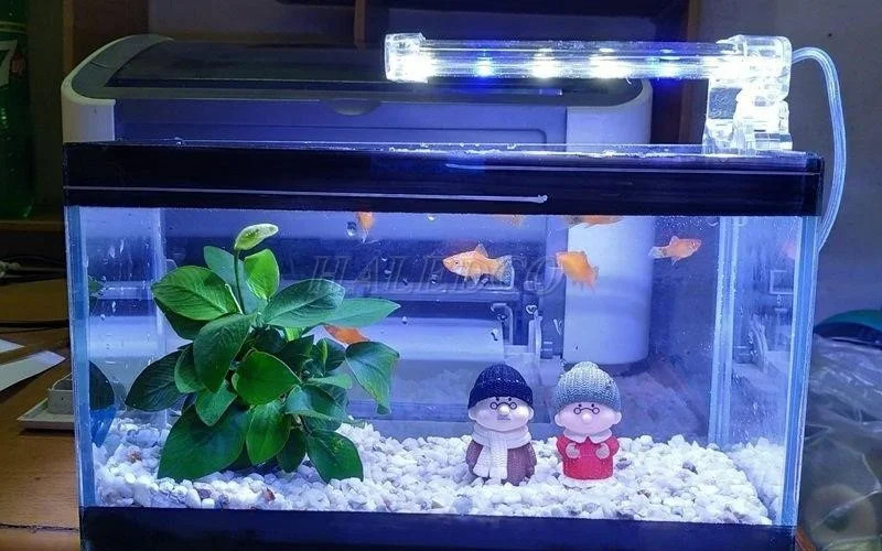 Hình ảnh đèn LED nhỏ gọn cho hồ cá mini để bàn, tiện lợi