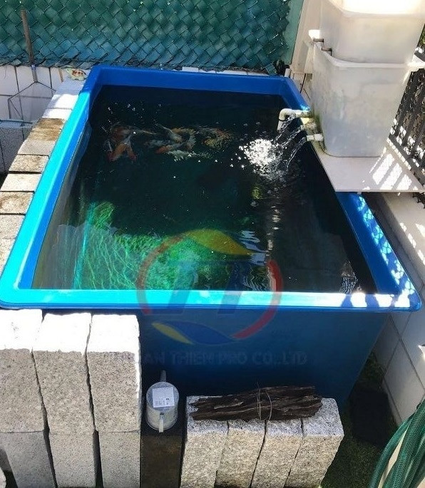 Hình ảnh khách hàng mua thùng nhựa nuôi cá cảnh của Aquatech