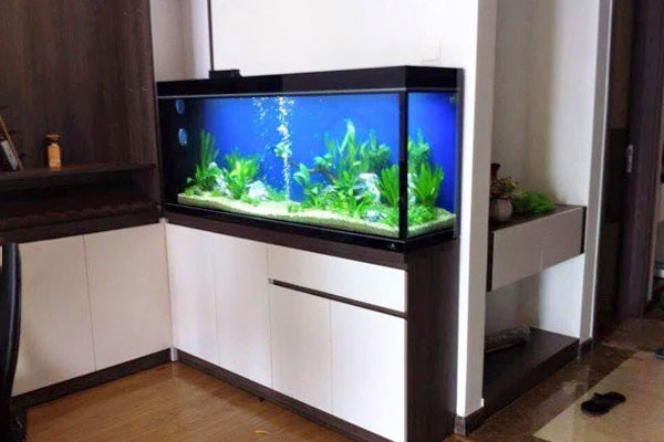 Hình ảnh một bể cá cảnh lớn, được thiết kế âm tường hoặc cố định, tạo không gian sang trọng và hiện đại cho ngôi nhà ở Hải Phòng