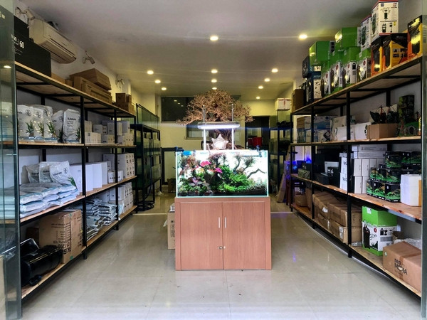 Hình ảnh một cửa hàng bán cá cảnh và phụ kiện thủy sinh với bể cá được trưng bày đẹp mắt, gợi ý về không gian mua sắm lý tưởng cho người yêu cá cảnh.