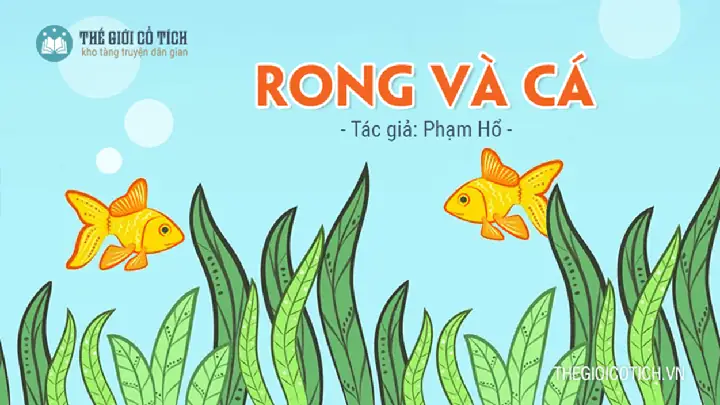 Hình Ảnh Rong Và Cá: Vẻ Đẹp Thủy Sinh & Ý Nghĩa.