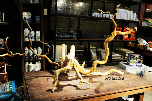 Hình ảnh tổng quan về không gian AquaLab - Shop Thủy Sinh