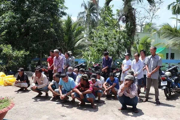 Cá Lia Thia Đồng: Tổng Hợp **Hình Cá Lia Thia Đồng** Đẹp và Đặc Điểm Nhận Dạng