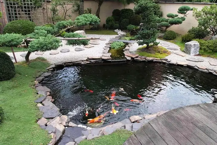 Các Hình Dáng Hồ Cá Ngoài Trời Đẹp Và Phù Hợp Mọi Không Gian