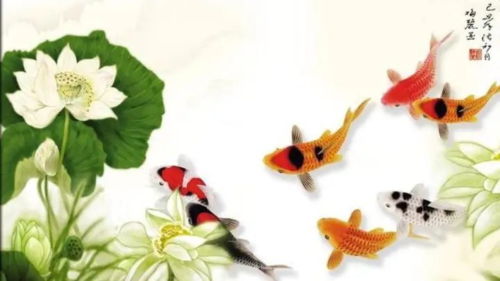 Khám Phá Ý Nghĩa và Chọn Lọc Hình Nền Cá Chép Đẹp Nhất Khám Phá Ý Nghĩa và Chọn Lọc Hình Nền Cá Chép Đẹp Nhất