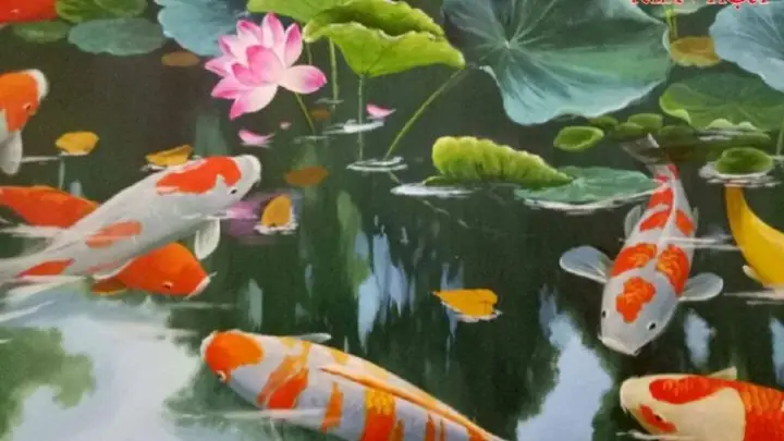 Khám Phá Ý Nghĩa và Chọn Lọc Hình Nền Cá Chép Đẹp Nhất Khám Phá Ý Nghĩa và Chọn Lọc Hình Nền Cá Chép Đẹp Nhất