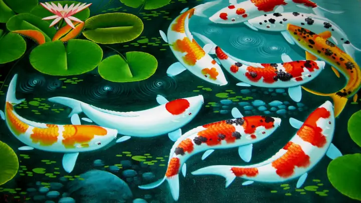 Hướng Dẫn Chi Tiết Về Hình Nền Điện Thoại Cá Ý Nghĩa Hướng Dẫn Chi Tiết Về Hình Nền Điện Thoại Cá Ý Nghĩa