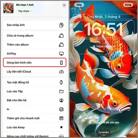 Hướng Dẫn Chi Tiết Về Hình Nền Điện Thoại Cá Ý Nghĩa Hướng Dẫn Chi Tiết Về Hình Nền Điện Thoại Cá Ý Nghĩa