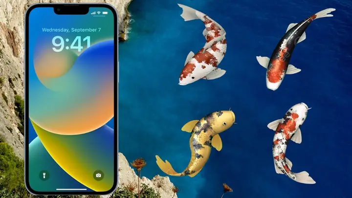 Hướng Dẫn Chi Tiết Về Hình Nền Điện Thoại Cá Ý Nghĩa Hướng Dẫn Chi Tiết Về Hình Nền Điện Thoại Cá Ý Nghĩa