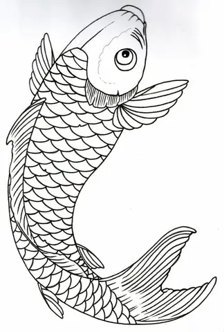 Hình vẽ cá chép đẹp nhất