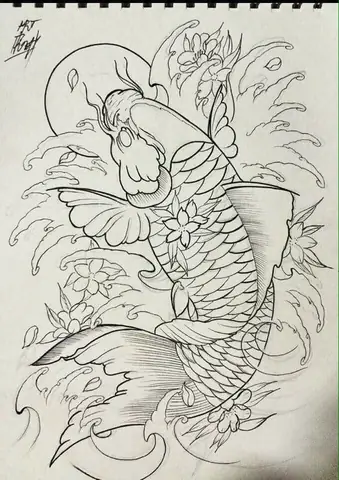 Hình vẽ cá chép đẹp nhất