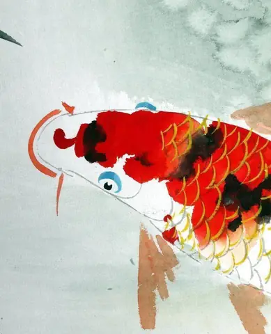 Hình vẽ cá chép đẹp nhất