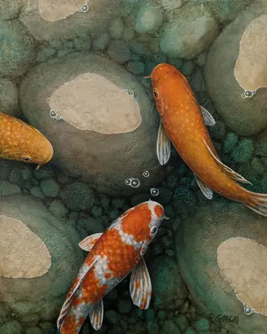 Hình vẽ cá chép đẹp nhất