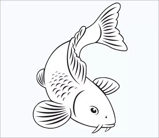 Hình vẽ cá chép đẹp nhất